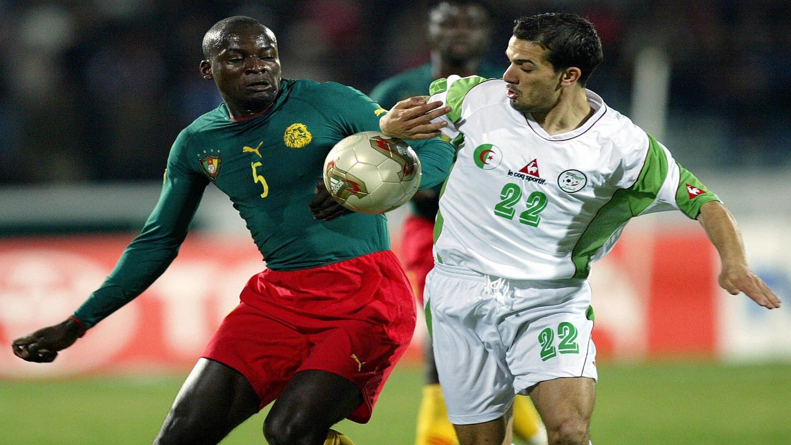 مباراة الكاميرون والجزائر بث مباشر