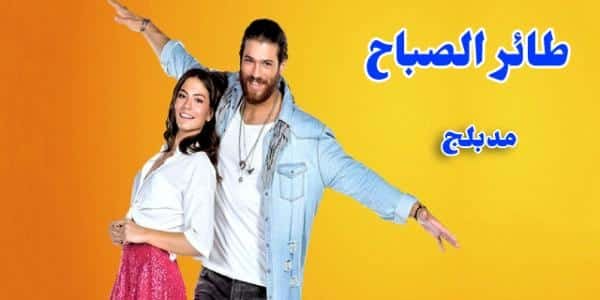 مسلسل طائر الصباح مسلسل طائر الصباح