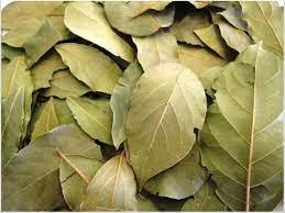 ورق السدر للسحر ورق السدر للسحر