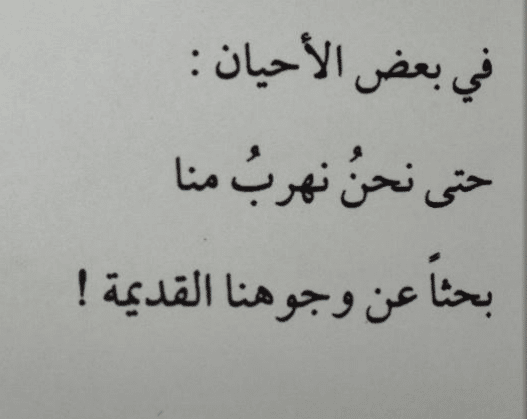 كتاب المدينة التي لا تنام