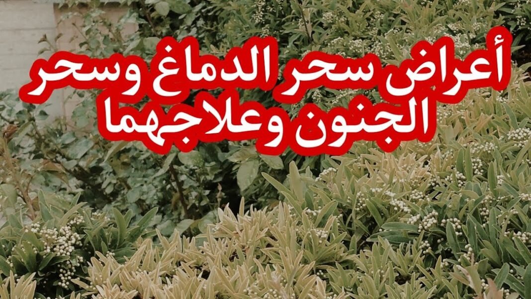 اعراض السحر المتمركز في الرأس