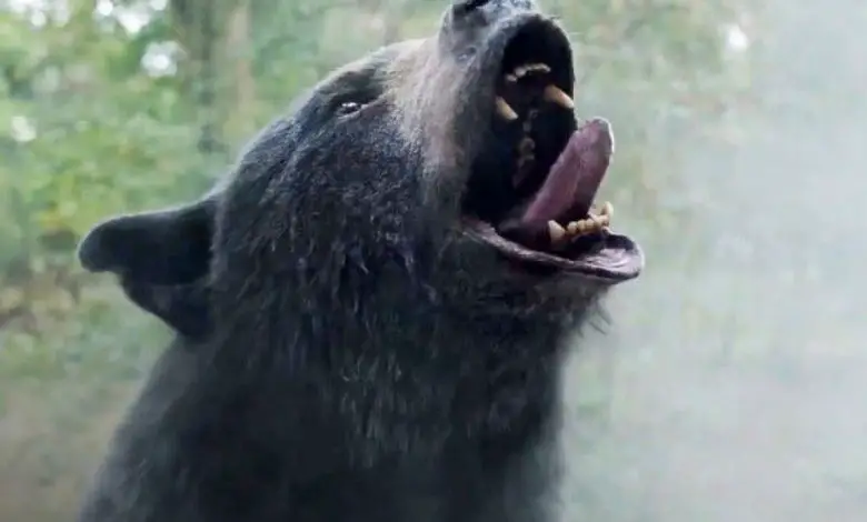 رابط فيلم كوكايين باير Cocaine Bear مترجم HD شاهد فو يو رابط فيلم كوكايين باير Cocaine Bear مترجم HD شاهد فو يو