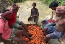 بالفيديو.. هل تستحق الضحك أم القلق؟ فيديوهات إعداد الطعام غير الصحي من الهند تجتاح الإنترنت