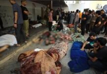 بالفيديو مذبحة الفجر…حالة من الذهول والاستنكار تشعل منصات التواصل الاجتماعي مجزرة حي الدرج