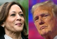 ترامب يتغزل بكامالا هاريس في مقابلة استثنائية ويفجر منصات التواصل…هل ترامب يهيم بها؟ ترامب وإيلون ماسك